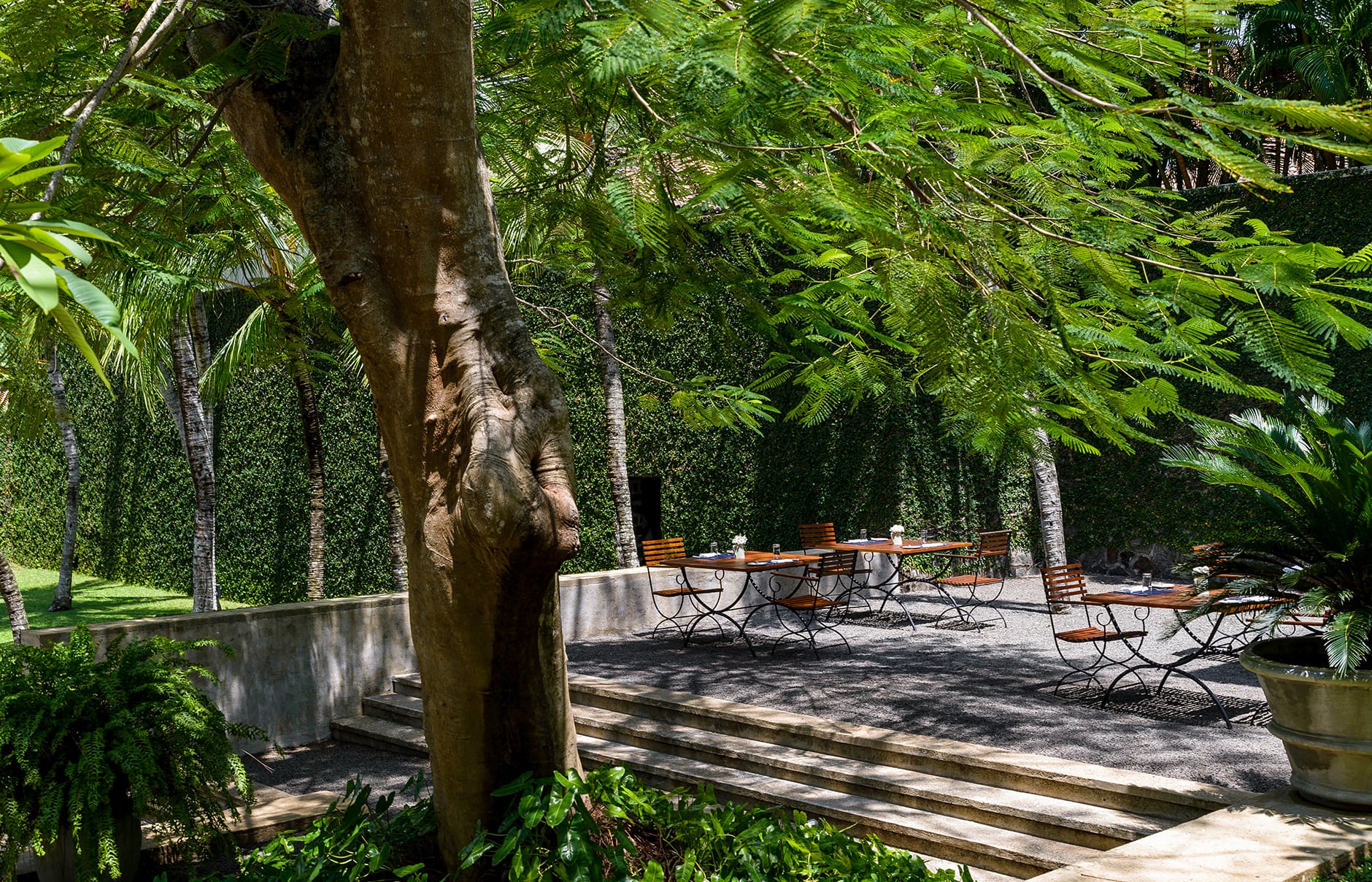 amangalla-sri-lanka-poolside-garden-terrace-tif_28125