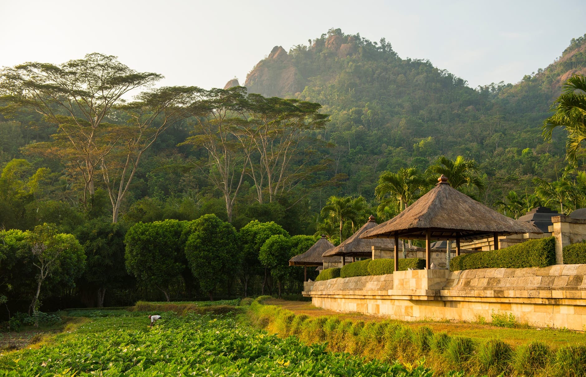 Amanjiwo, Java, Indonesia. Luxury Hotel Review by TravelPlusStyle. Photo © Aman Resorts amanjiwo-indonesia-bales-and-rice-fields_high-res_1078