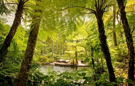 44164764-h1-kedara_water_garden_2