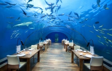 story-body-content-subbed-0-1529581969155