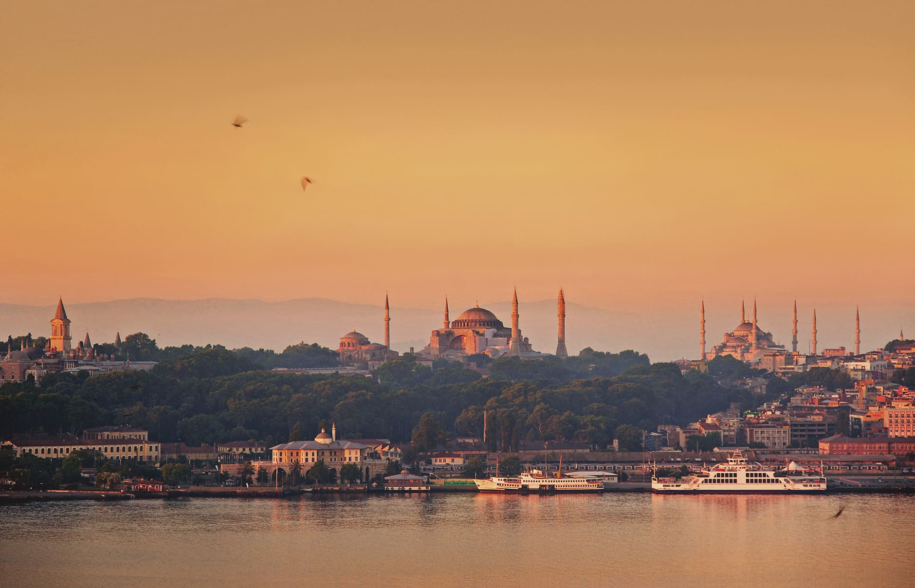 The Best Things to Do in Istanbul, Turkey • Photo © TravelPlusStyle turkey_wittsuites_3263