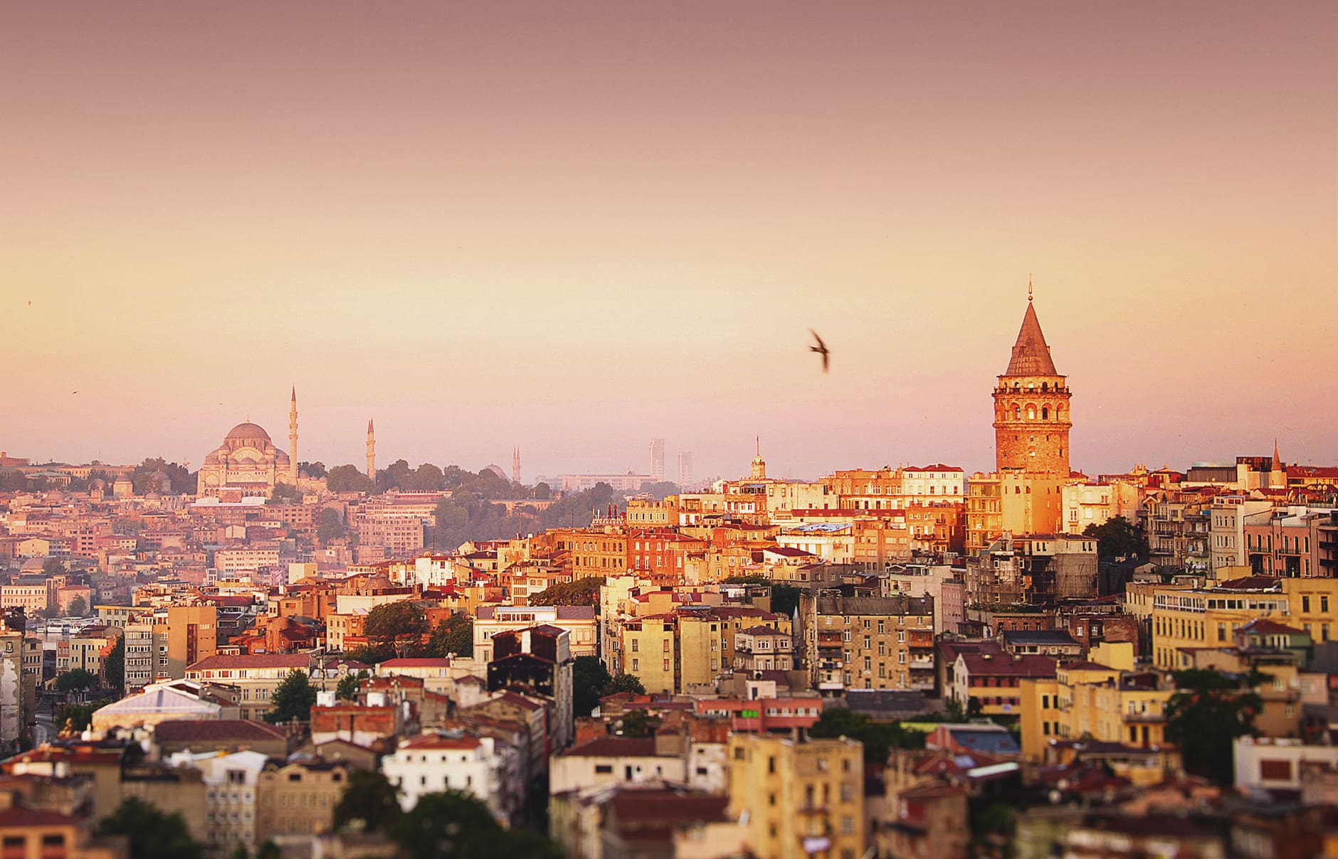 Galata Tower, The Best Things to Do in Istanbul, Turkey • Photo © TravelPlusStyle turkey_wittsuites_3264-2b