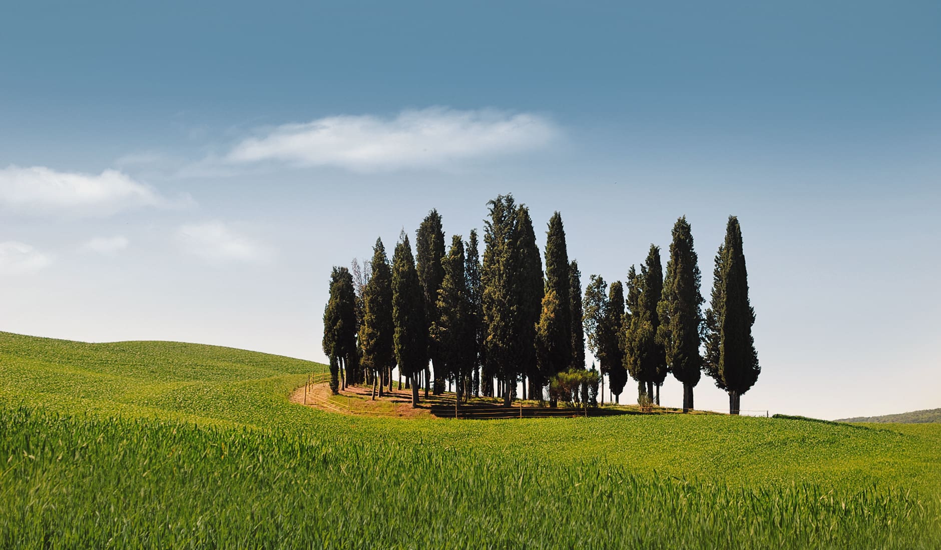 5 reasons to fall in love with Tuscany, Italy • Photo © TravelPlusStyle.com italy_08