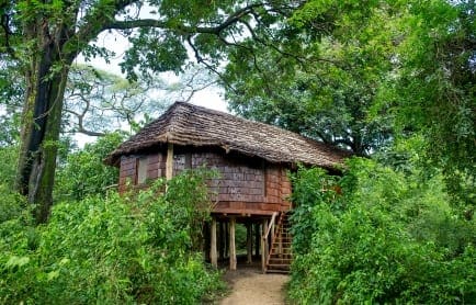 family-treehouse-suite-exterior-andbeyond-lake-manyara-tree-lodge
