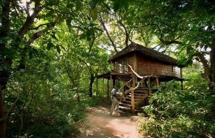 treehouse-suite-exterior-andbeyond-lake-manyara-tree-lodge