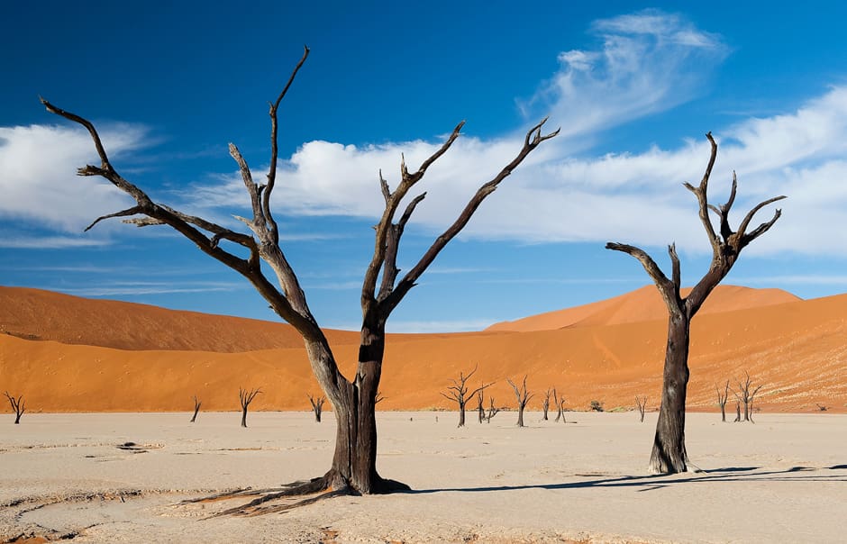 Dead Vlei