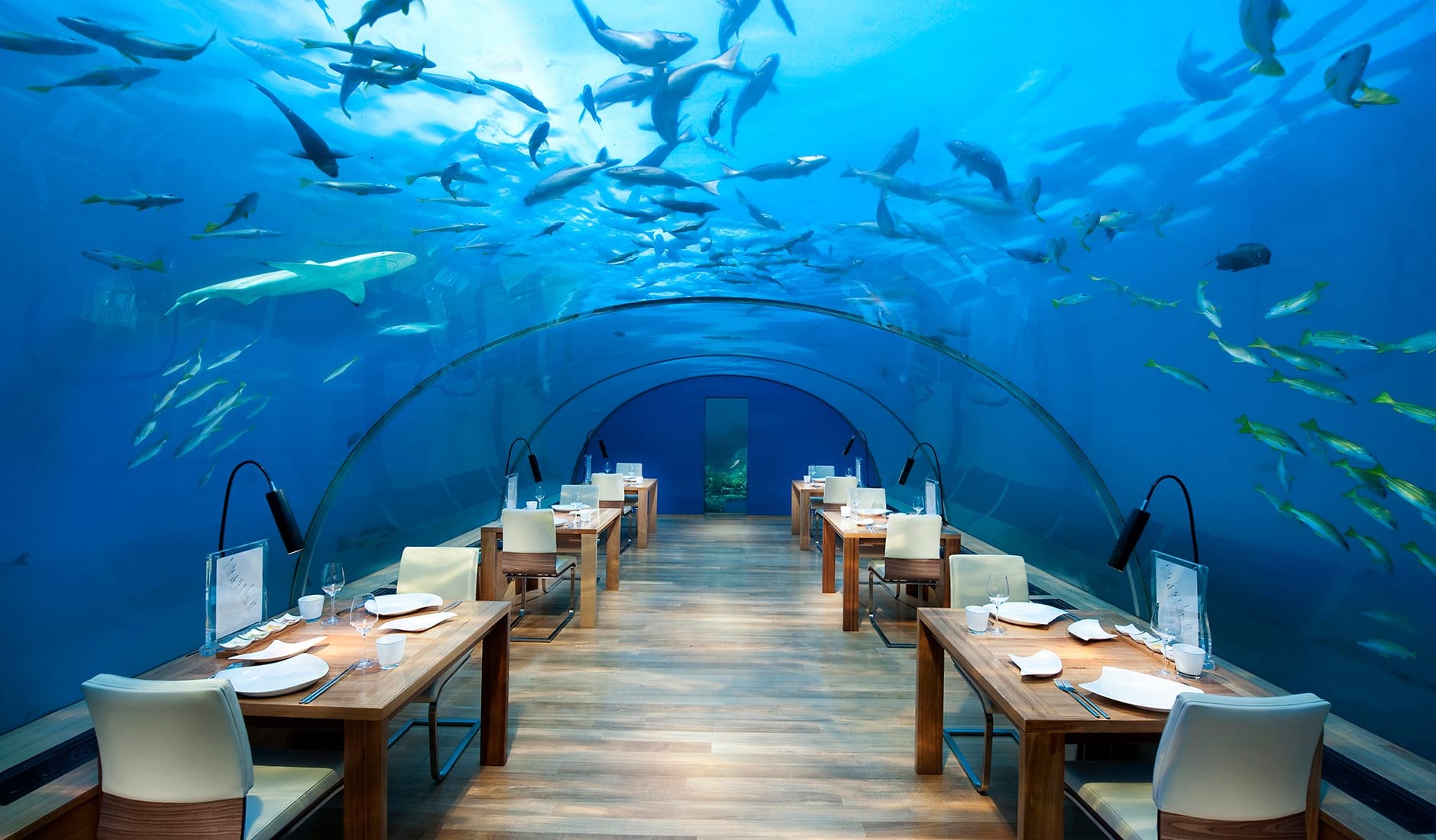 Conrad Maldives Rangali Island, Maldives. The Best Luxury Resorts in the Maldives by TravelPlusStyle.com story-body-content-subbed-travelplusstyle