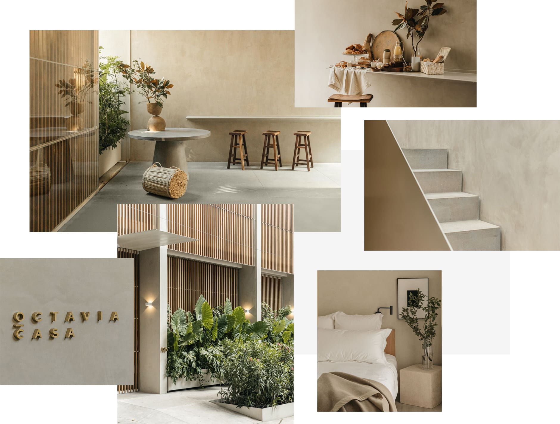 octavia-casa-komp4-narrow