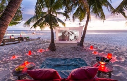 north-island-movie-bight-picnic