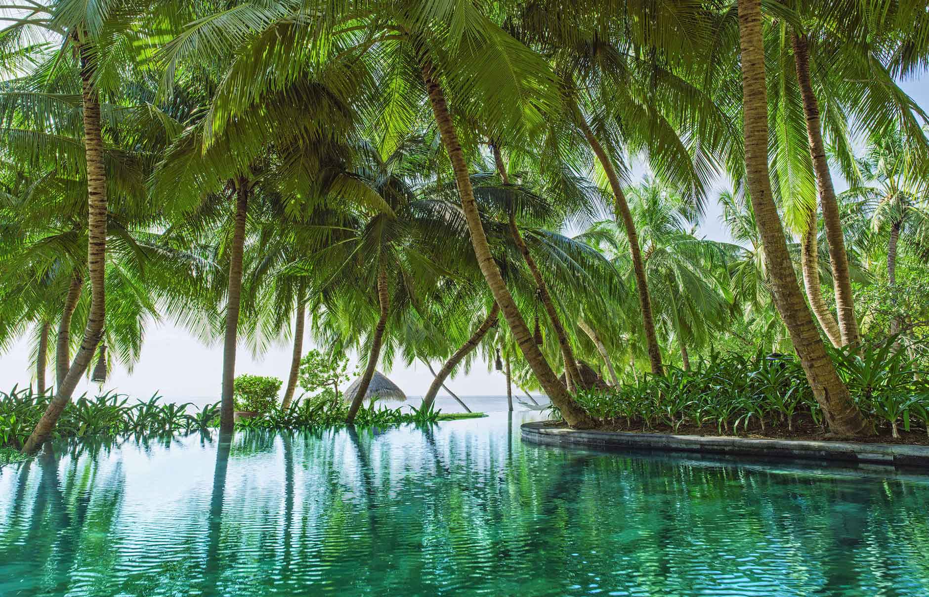 one_only_reethirah_pool_beach_mainpool-1