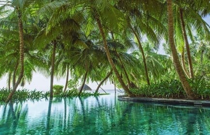 one_only_reethirah_pool_beach_mainpool-1