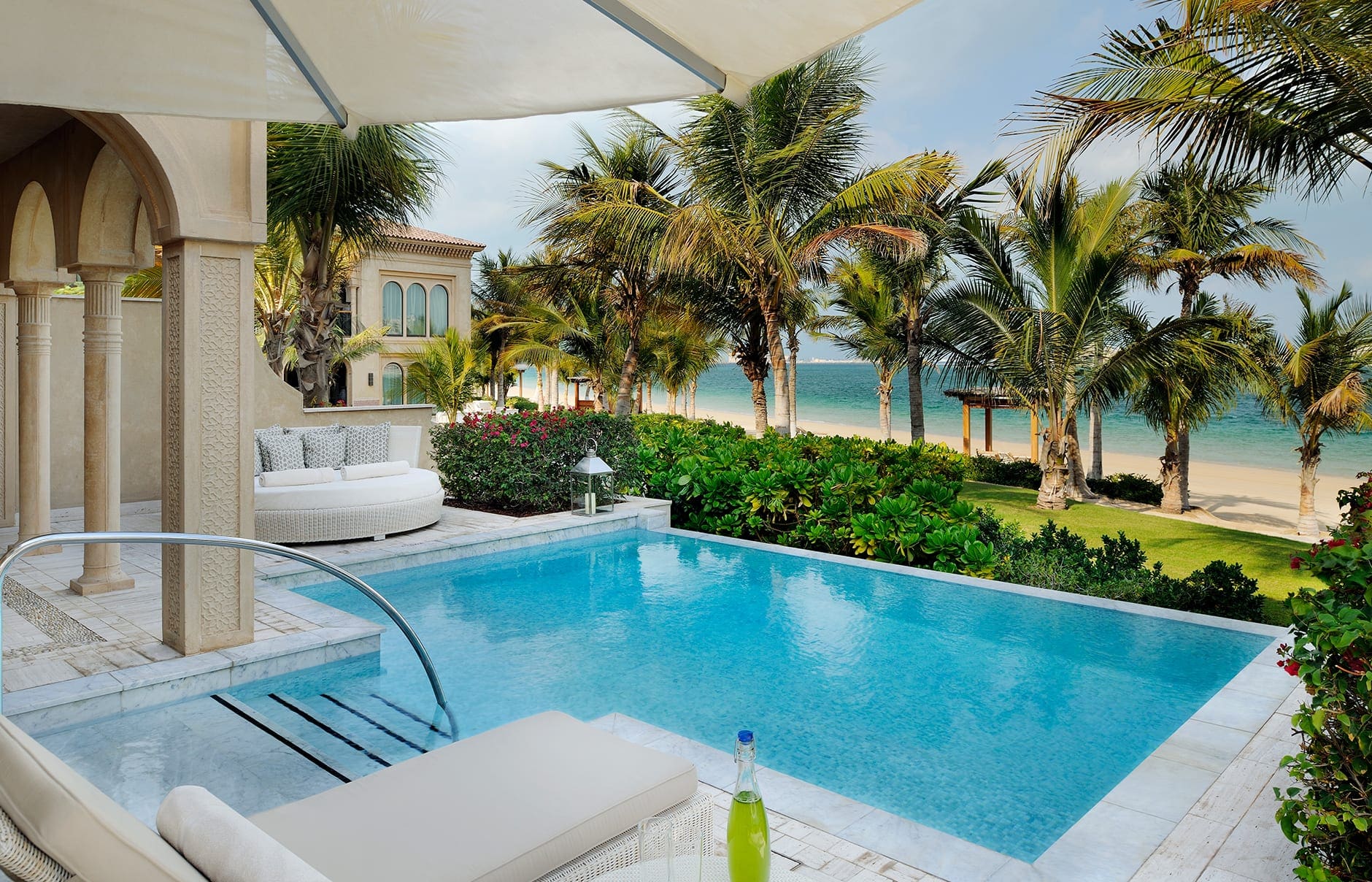 one_only_the_palm_palm_