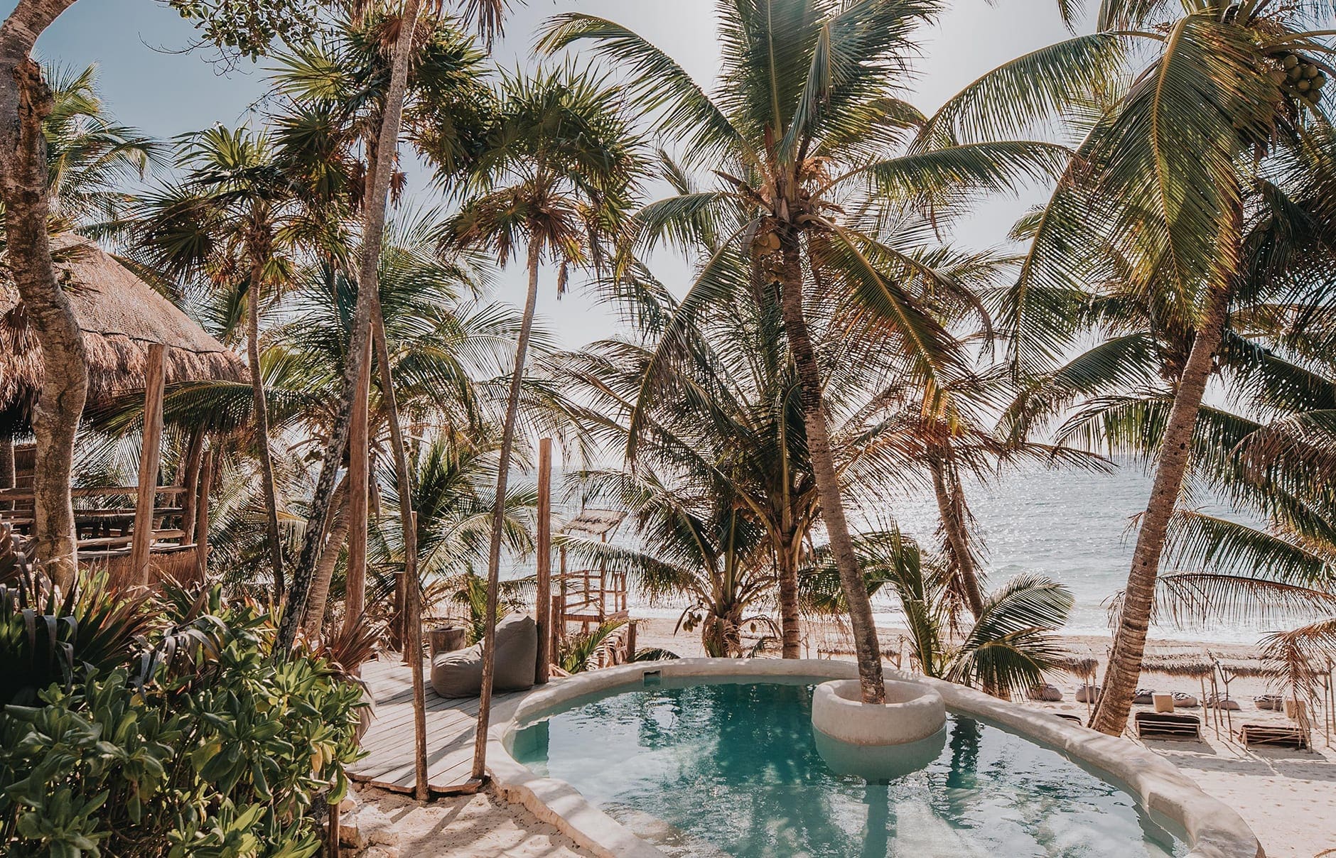 papaya-playa-cmad3-r-r2