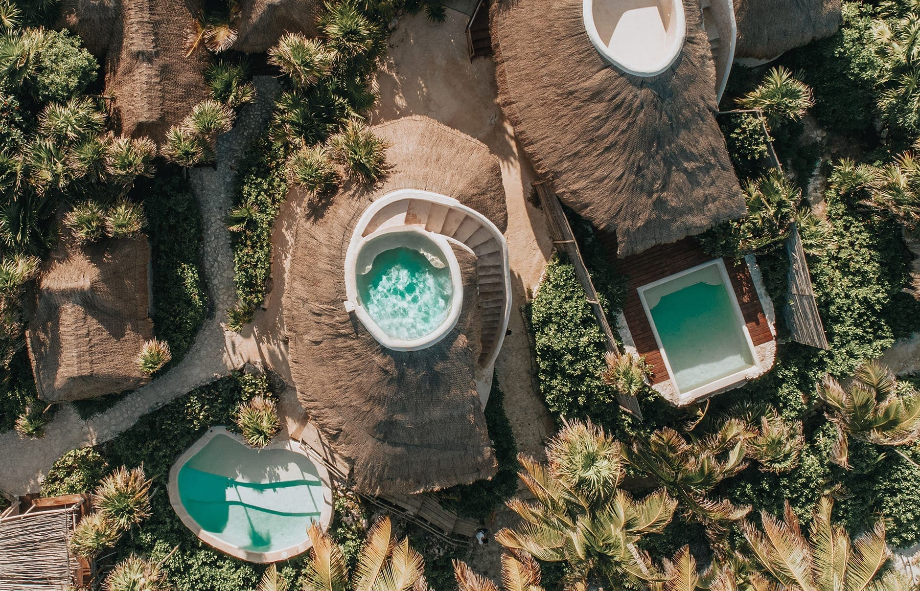 papaya-playa-hnep-r-5