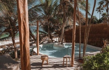 papaya-playa-cmad3-r-7