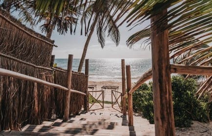 papaya-playa-cmad4-r-4