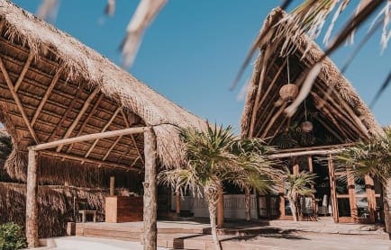 papaya-playa-cmad4-r-6-1