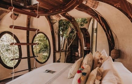 papaya-playa-treeh-r-5