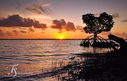 Red Pepper House, Lamu, Kenya. travelplusstyle.com