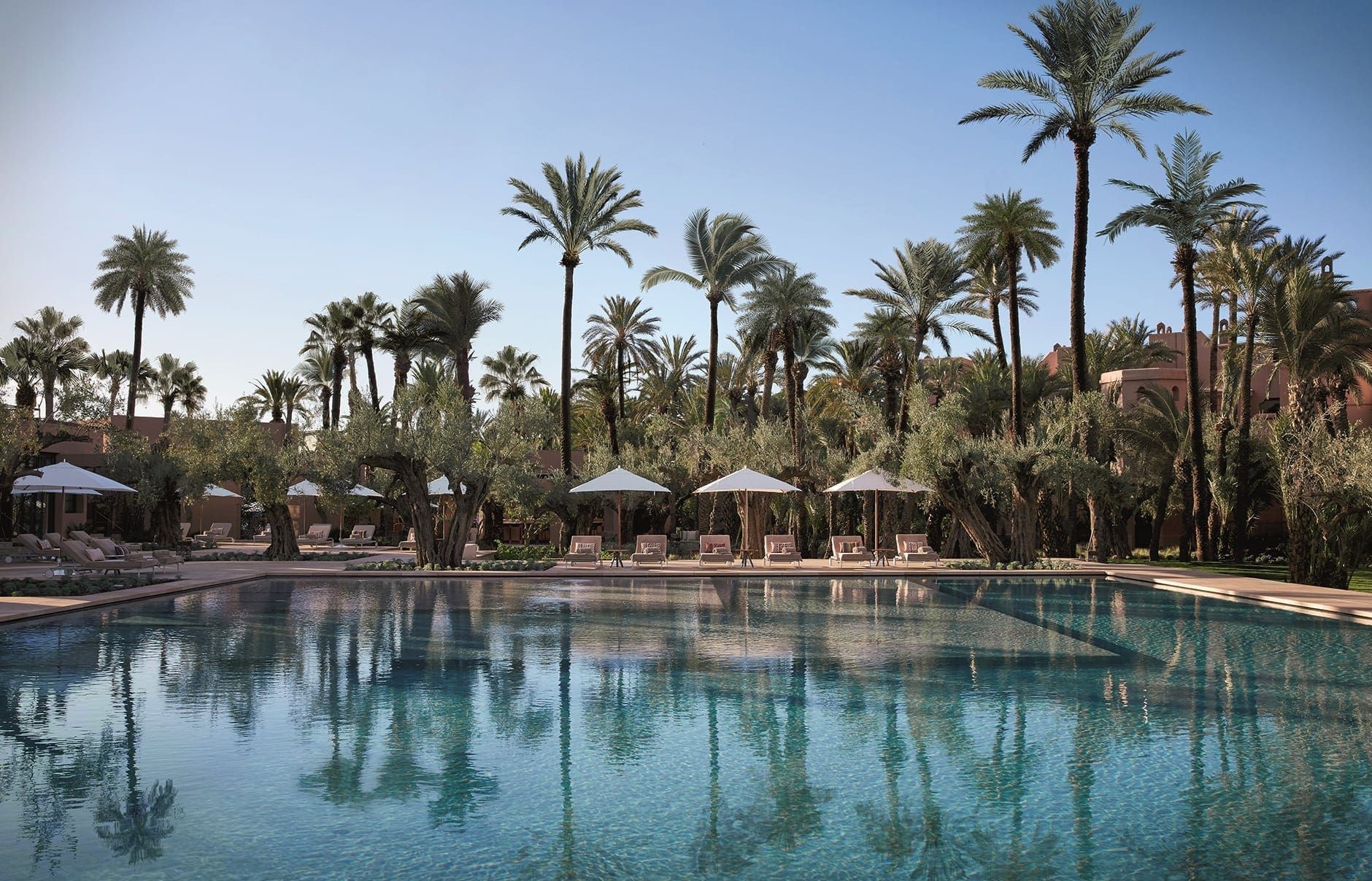 80615471-h1-le_jardin