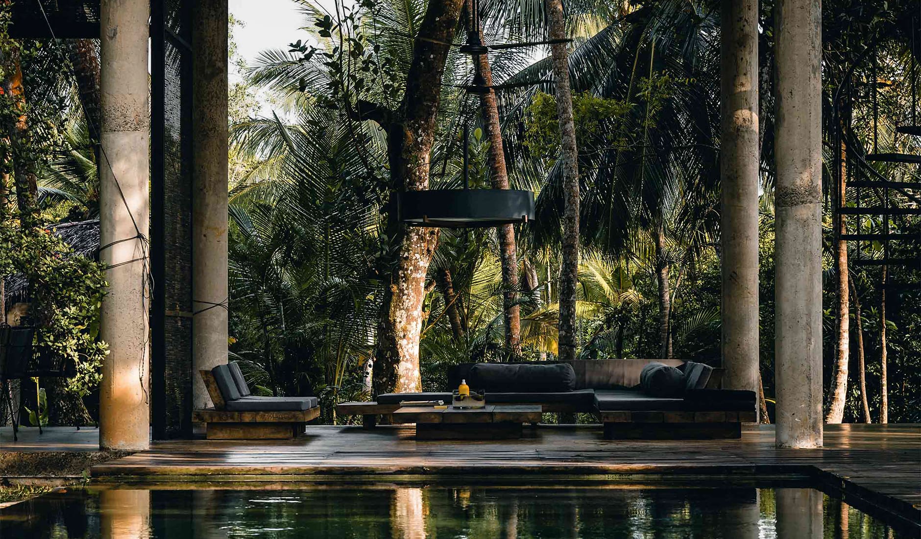 kaju-green-galle-sri-lanka_feat_alt