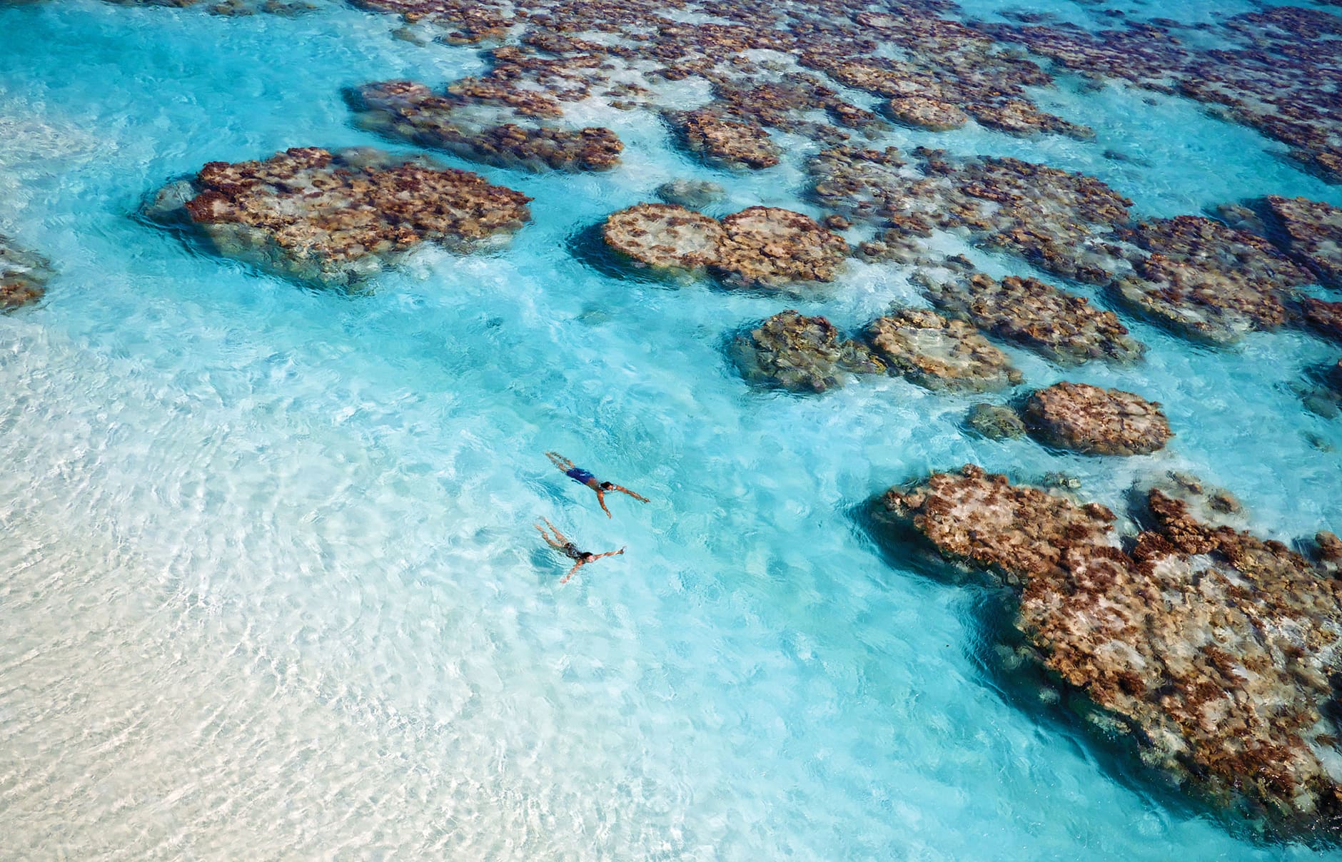 The Brando, French Polynesia • TravelPlusStyle.com image00017photocredittimmckenna-tfssm