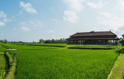 The Chedi Club Tanah Gajah, Ubud, Bali. © GHM Hotels