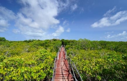The Majlis, Manda Island, Kenya © Travel+Style