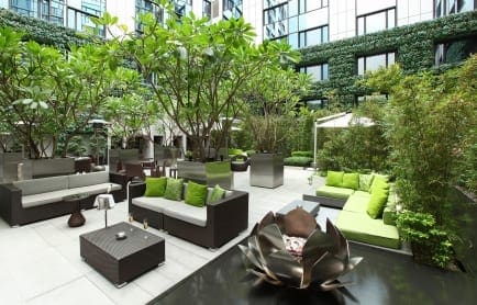 tmhk_vibes_day_h_res