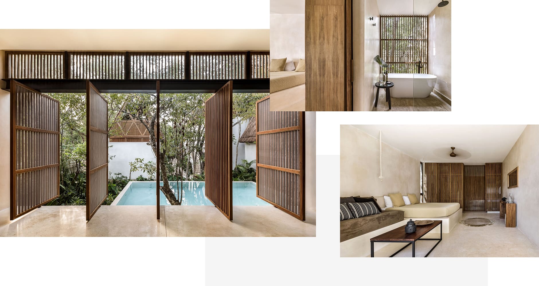 junglekeva-komp-narrow