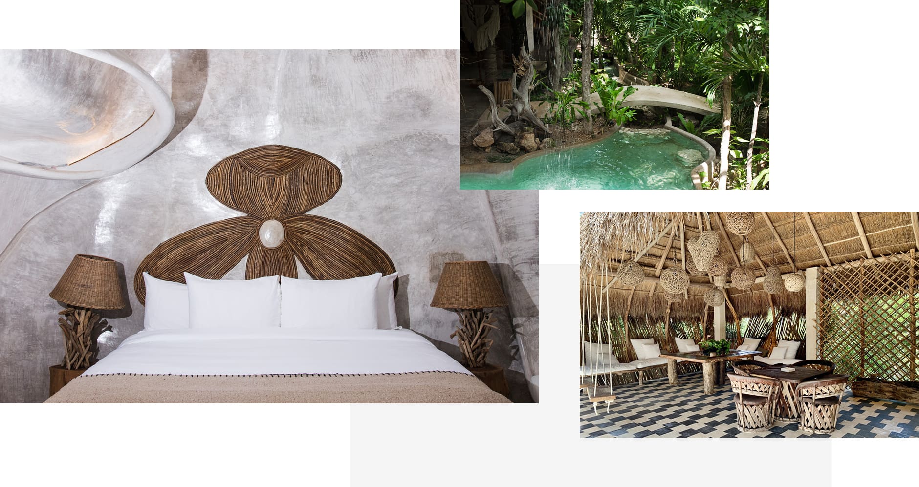 orchid-house-komp-narrow