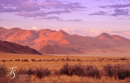 Wolwedans Boulders Camp, Namib Rand, Namibia. © TravelPlusStyle.com