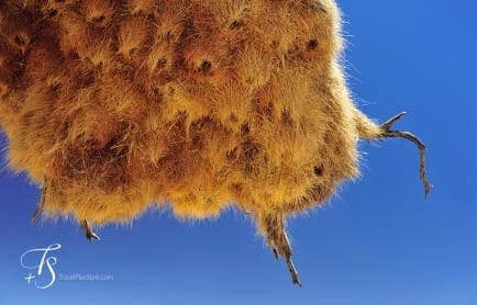 Wolwedans Boulders Camp, Namib Rand, Namibia. © TravelPlusStyle.com