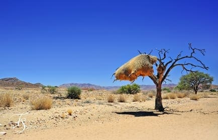 Wolwedans Boulders Camp, Namib Rand, Namibia. © TravelPlusStyle.com