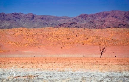 Wolwedans Boulders Camp, Namib Rand, Namibia. © TravelPlusStyle.com