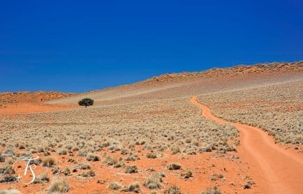 Wolwedans Boulders Camp, Namib Rand, Namibia. © TravelPlusStyle.com