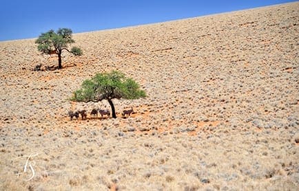 Wolwedans Boulders Camp, Namib Rand, Namibia. © TravelPlusStyle.com
