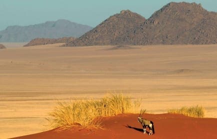 enkosi-africa-safari-namibia-namibrand-wolwedans-landscape-oryx